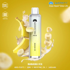 Hayati Pro Max Disposable Banana Ice XNHN90 Hayati Vape Shop