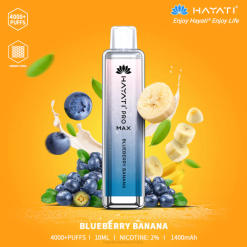 Hayati Pro Max Disposable Blueberry Banana XNHN138 Hayati Price Australia