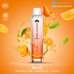 Hayati Pro Max Disposable Bru Ice XNHN130 Hayati Vape Shop