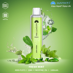 Hayati Pro Max Disposable Fresh Mint XNHN104 Hayati Vape Flavours