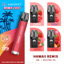 Hayati Remix Prefilled Pod System 2400 Puffs Hawaii Remix XNHN54 Hayati Vape Flavours